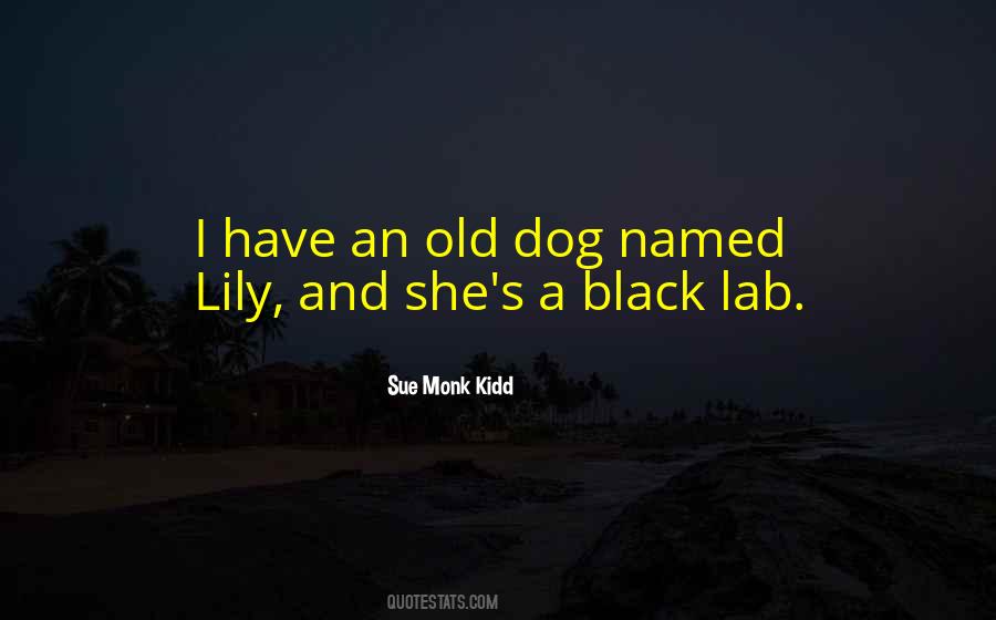 Kroell Devi Quotes #902453