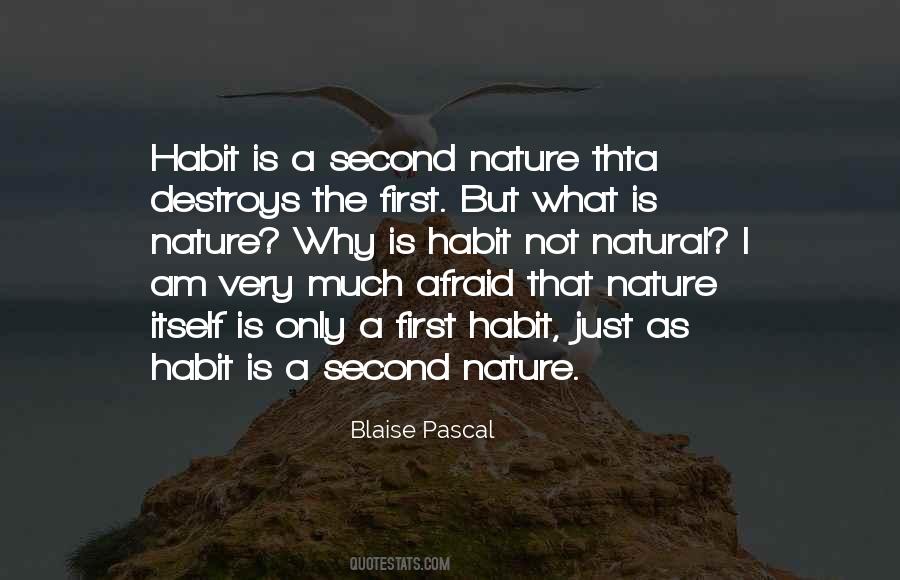 Vecseysuli Quotes #1492508
