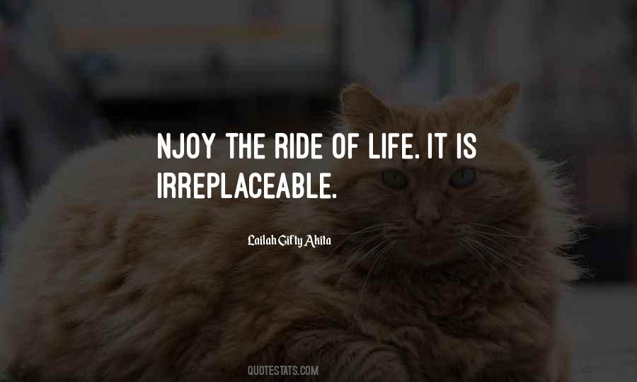 Ride Of Life Quotes #1857296