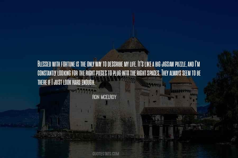 Describe Life Quotes #567737