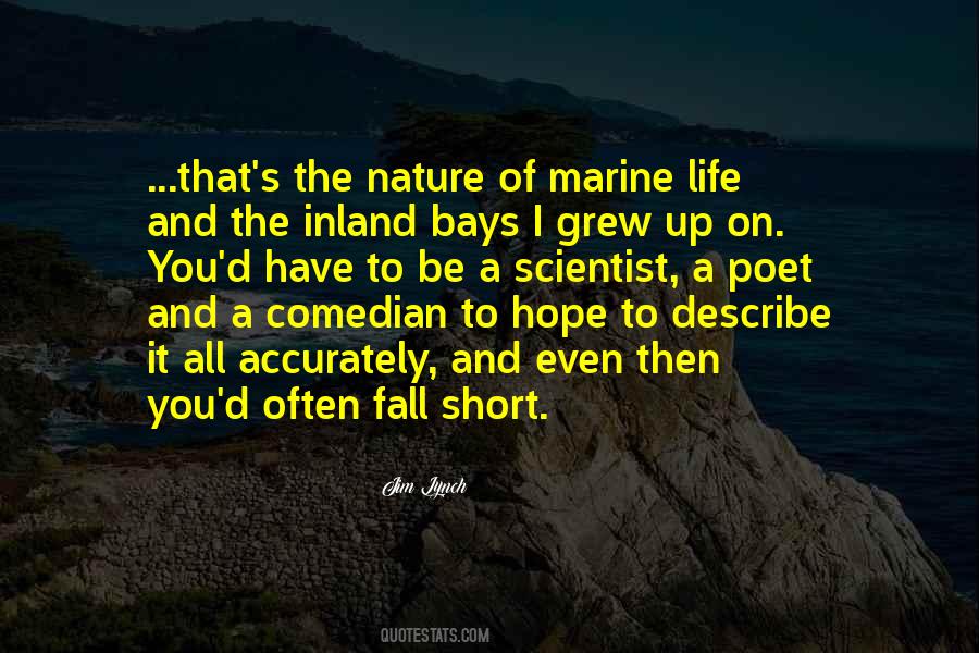 Describe Life Quotes #862600