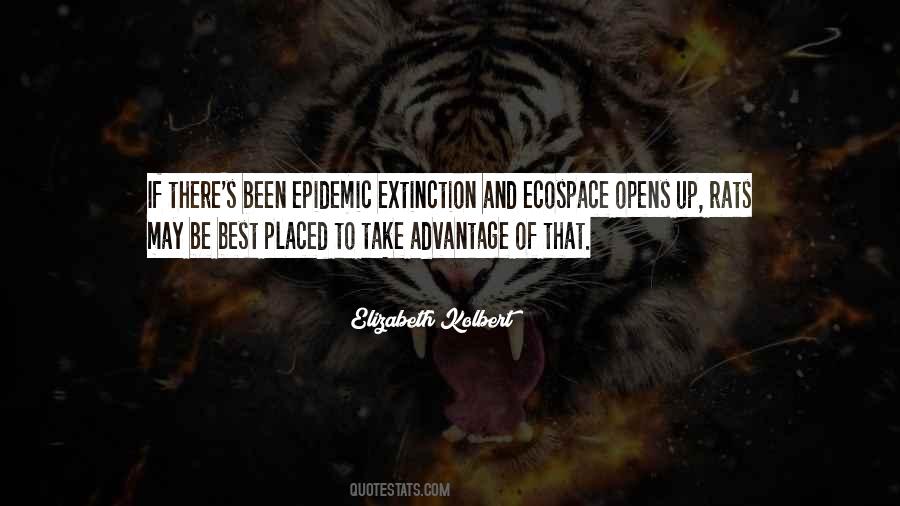 Shawndee Pink Quotes #1218458