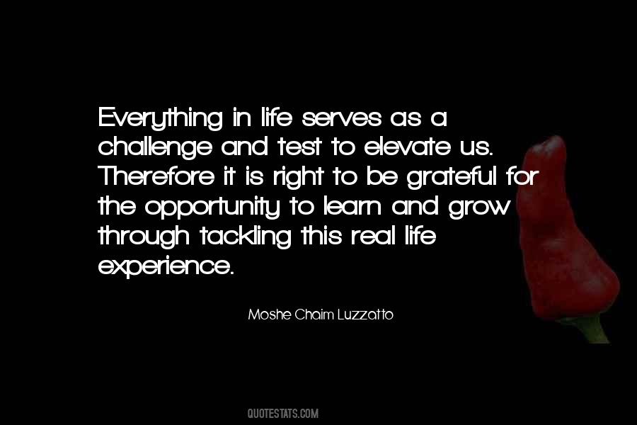 Quotes About Life Opportunity #17896