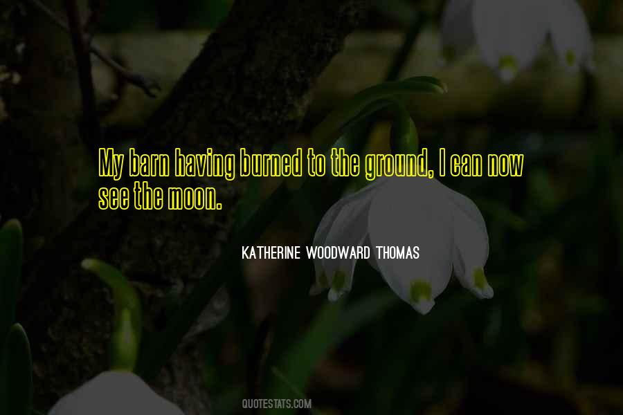 Kishu Quotes #693900