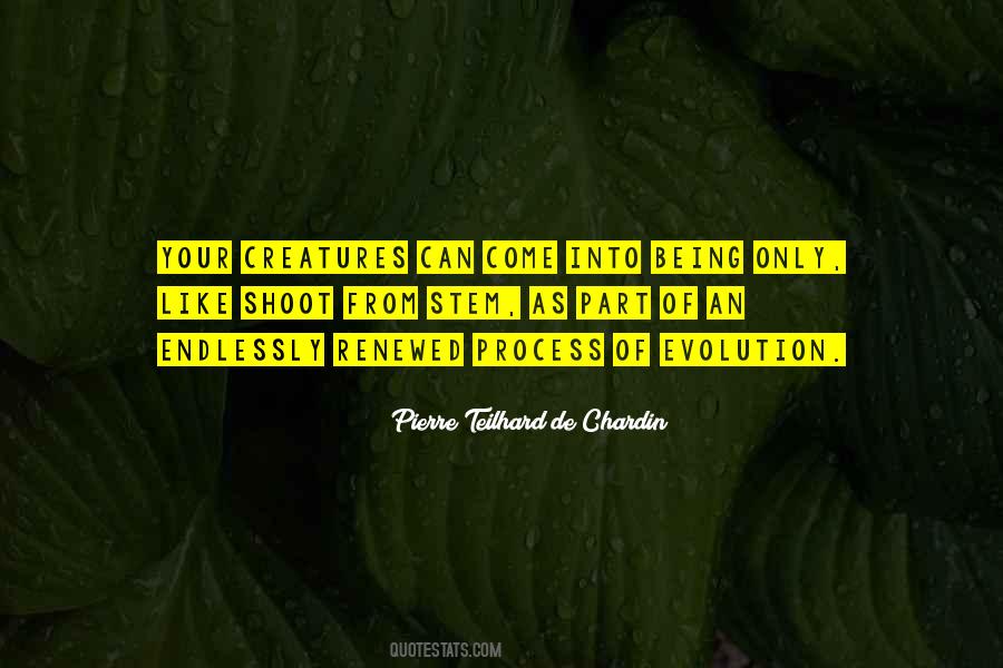 Kishu Quotes #77612
