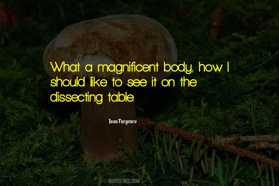 Wooden Legs Quotes #1706833