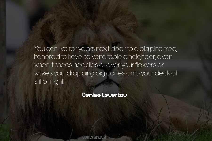 Arcucci Anacapri Quotes #1576618
