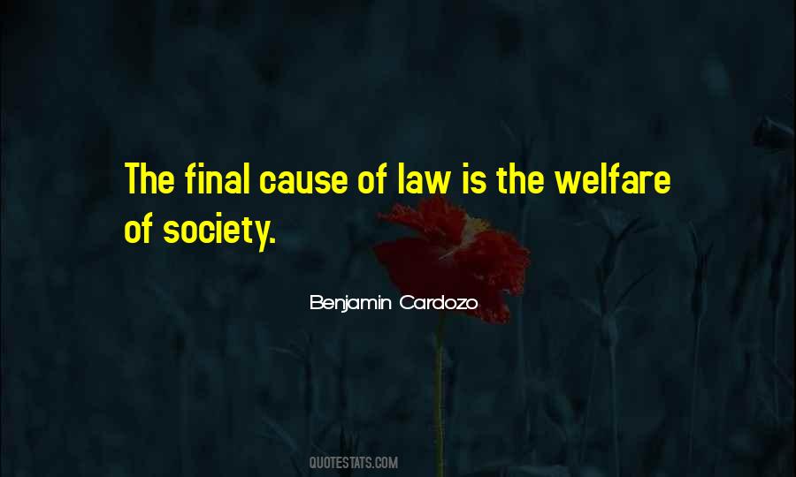 Welfare Society Quotes #1019582