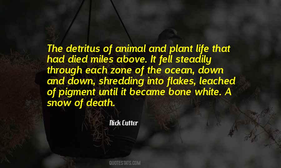 Plant And Animal Life Quotes #1693516