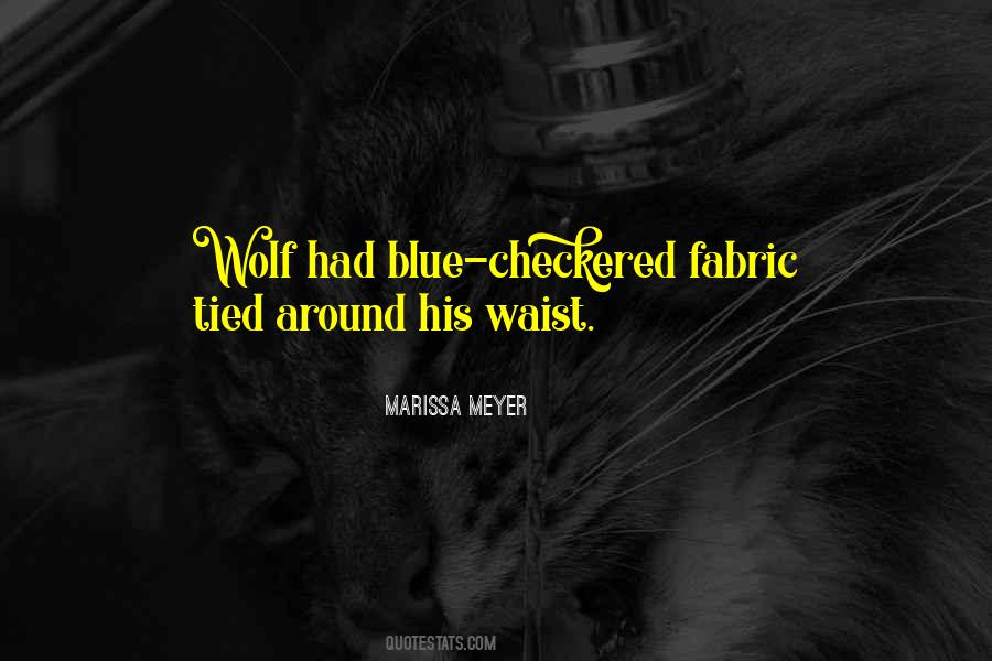 Checkered Past Quotes #526967