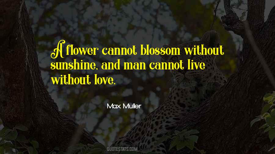 Love And Sunshine Quotes #184178