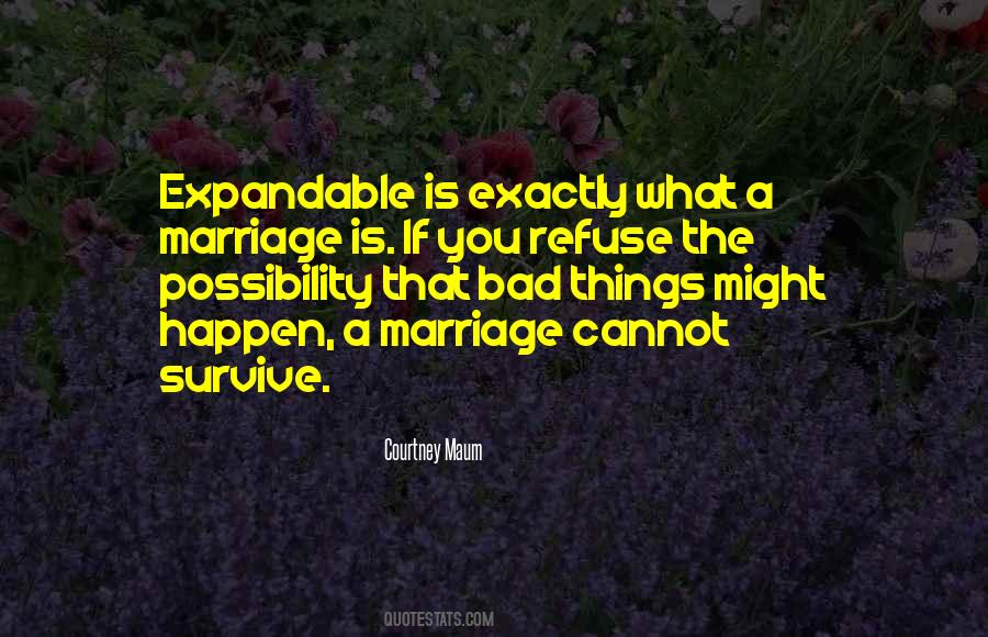 Hythem Abdulgader Quotes #1058700