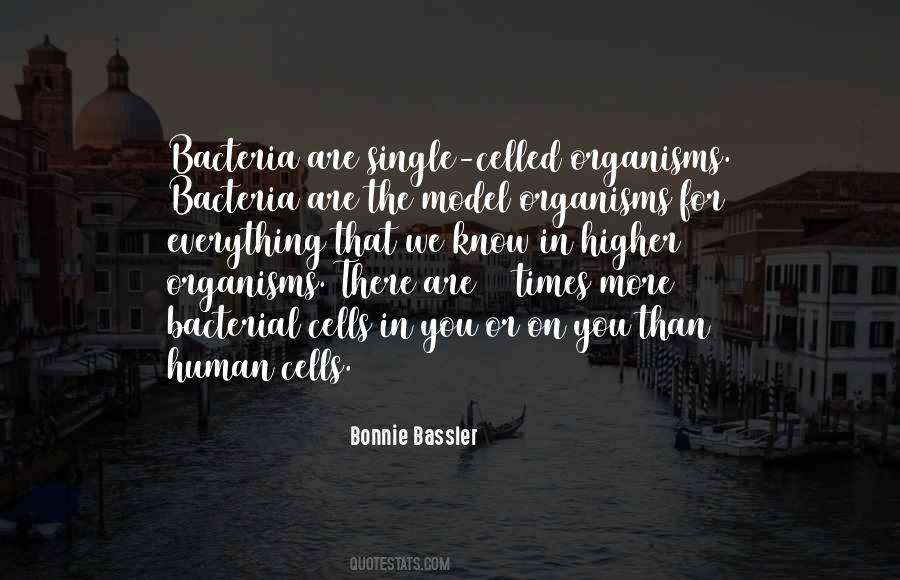Barroga Dental Clinic Quotes #754129