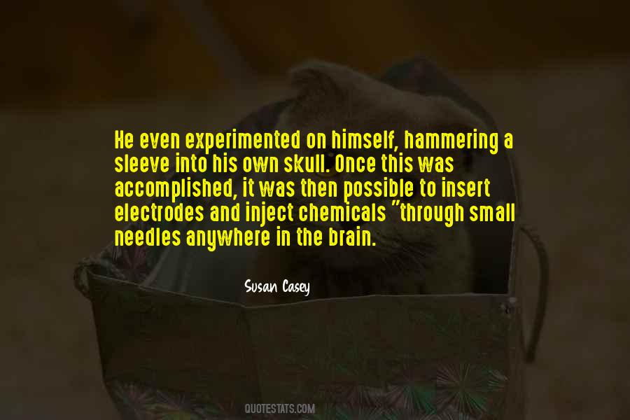 Bungert Mauer Quotes #873453