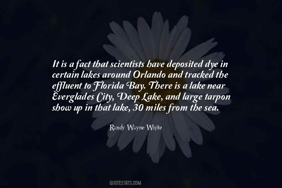 The City In The Sea Quotes #1571969