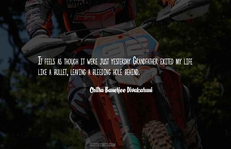 Quotes About Life Literary #572284