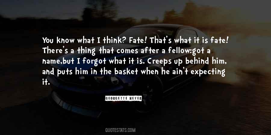 Holly Black White Cat Quotes #596559
