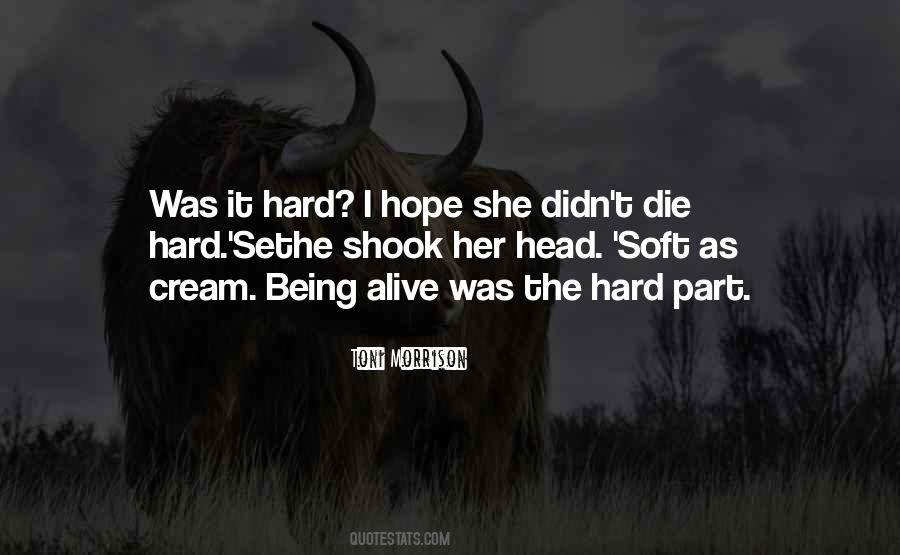 Niedermeyer Rv Quotes #1140572