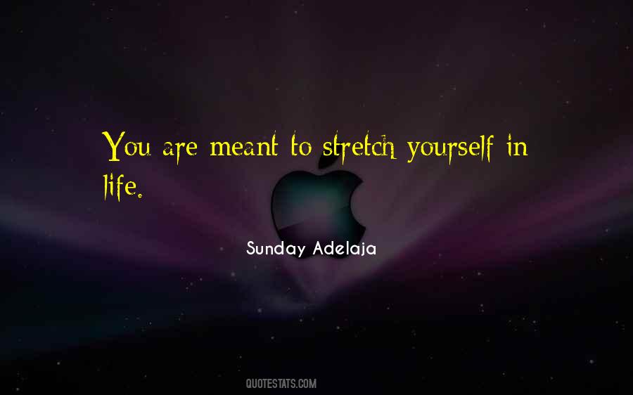 Vuong D I L C Quotes #623201