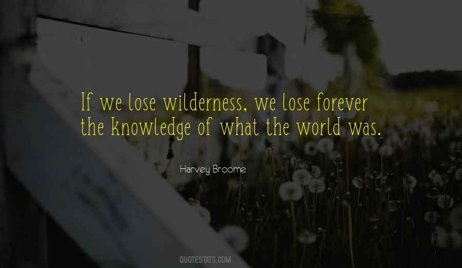 Umbala Spirit Quotes #1304001