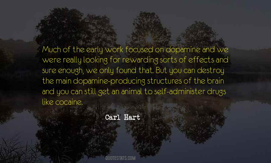 Effects Can Quotes #558575