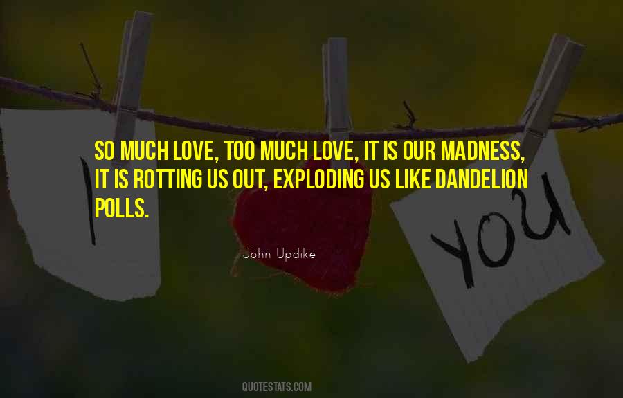 Love Is Madness Quotes #185220