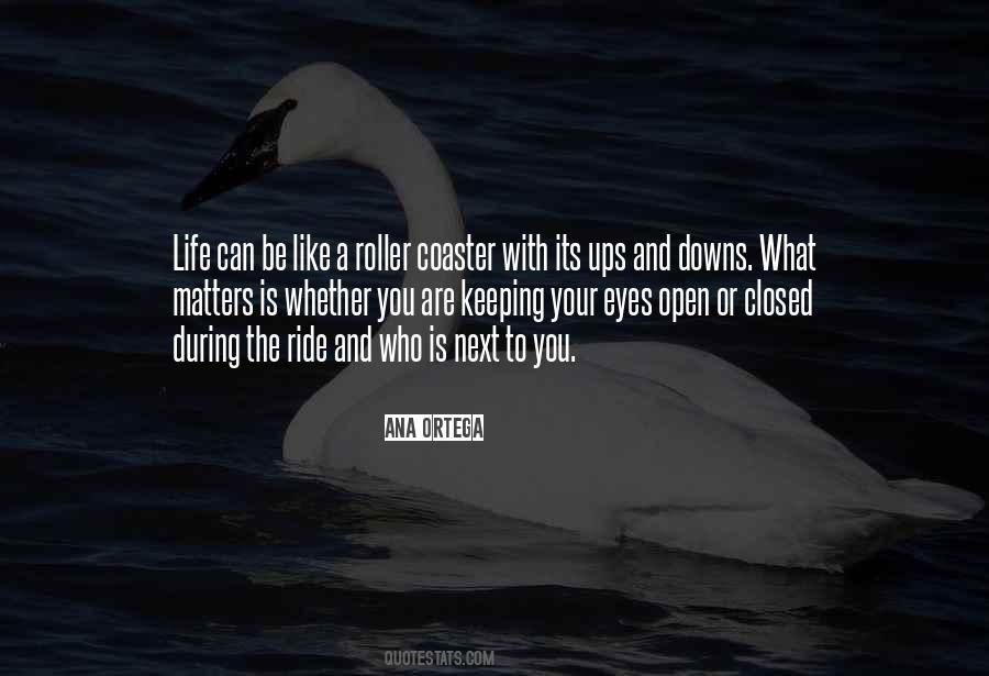Quotes About Life Is A Roller Coaster Ride #783077