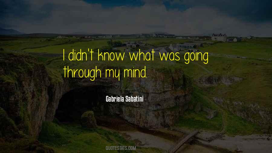 Sabatini Gabriela Quotes #780228