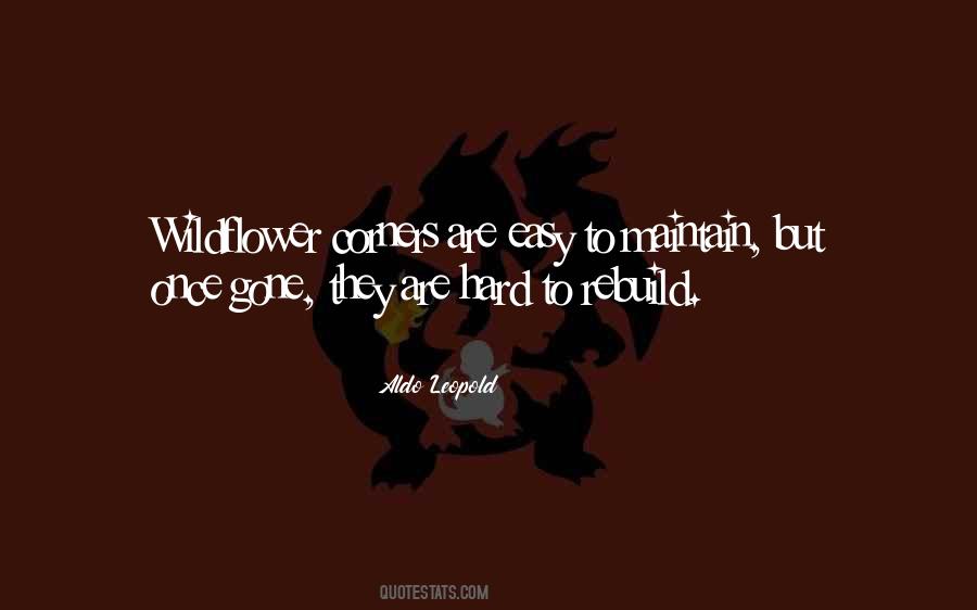 We Will Rebuild Quotes #105510