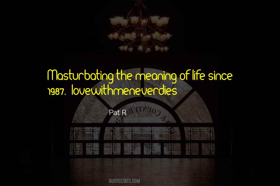 Combinatory Analysis Quotes #747749
