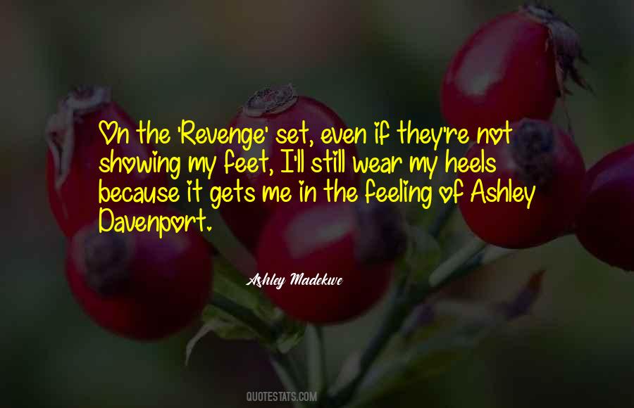 Quotes About The Revenge #1198781