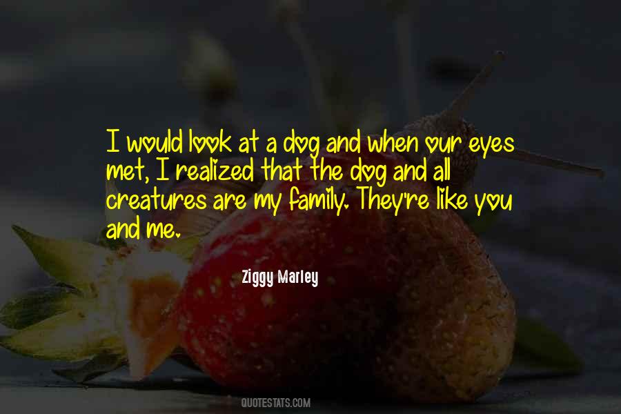 Dog Eyes Quotes #133818