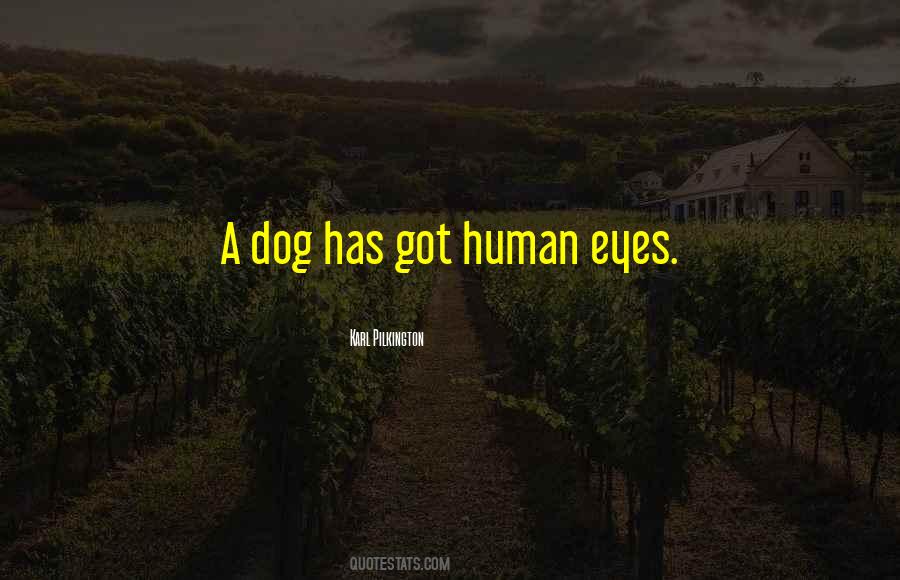 Dog Eyes Quotes #1602516