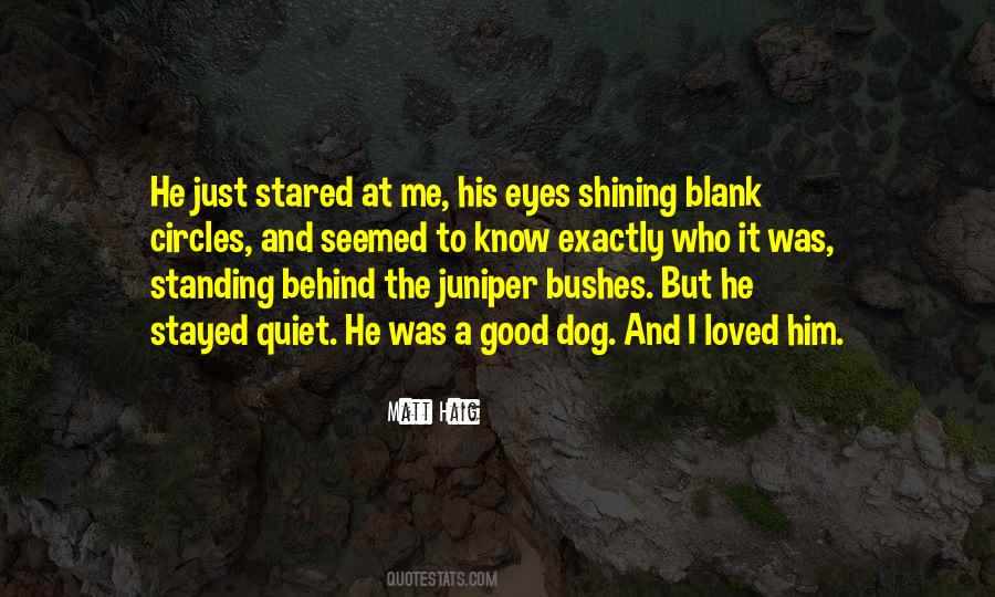 Dog Eyes Quotes #320484