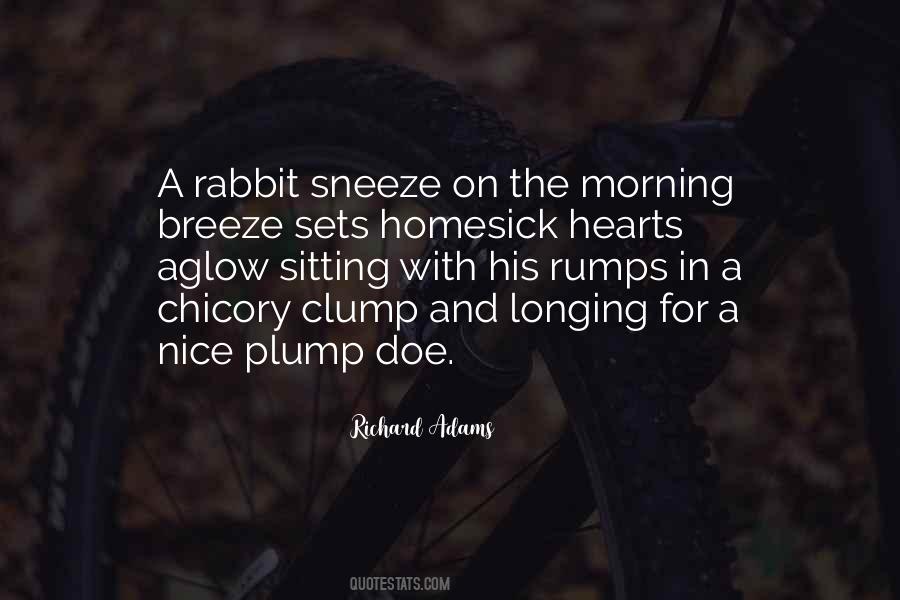 Chicory Quotes #578841