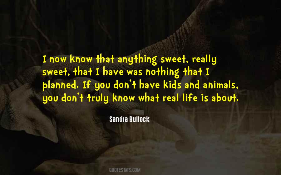Sormaz Dragan Quotes #1204299