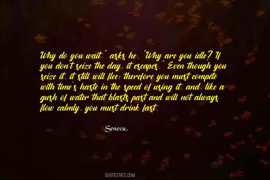 Pashko Travel Quotes #1683151