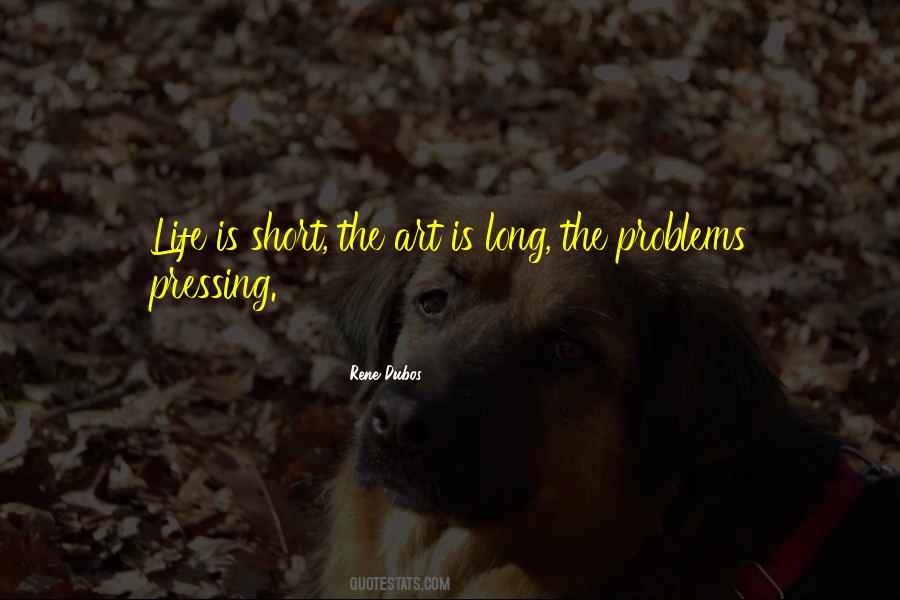 Enantiodromia Jung Quotes #288476