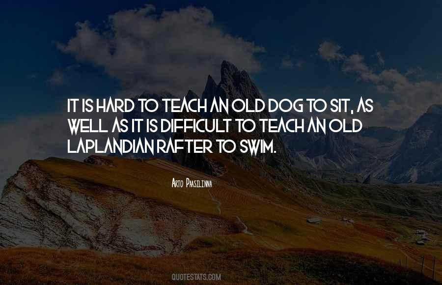 Foothills Animal Shelter Quotes #1563766