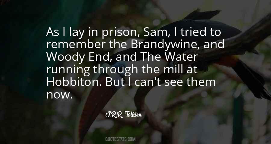 Quotes About The Return Of The King #55058