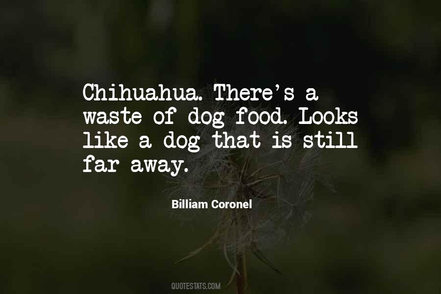 Chihuahua Quotes #750432