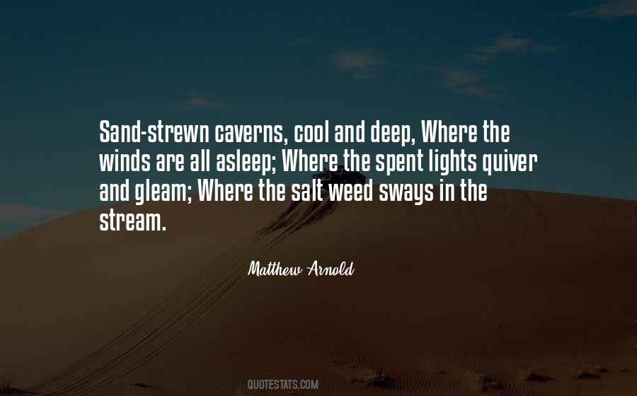 Gleam Of Light Quotes #1102492