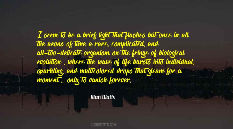 Gleam Of Light Quotes #663393