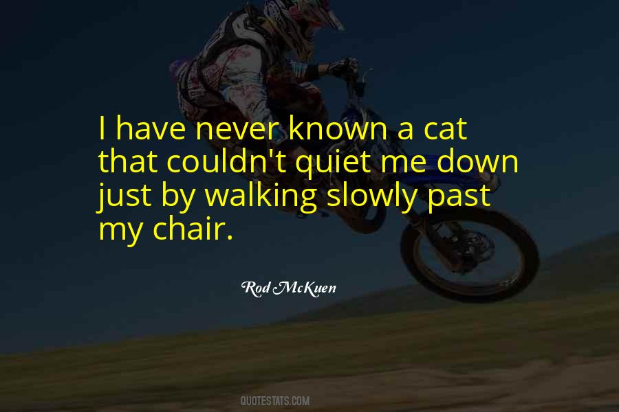 Dibinr Quotes #1304201