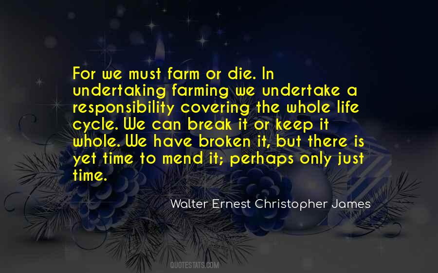 Time Cycle Quotes #1525301