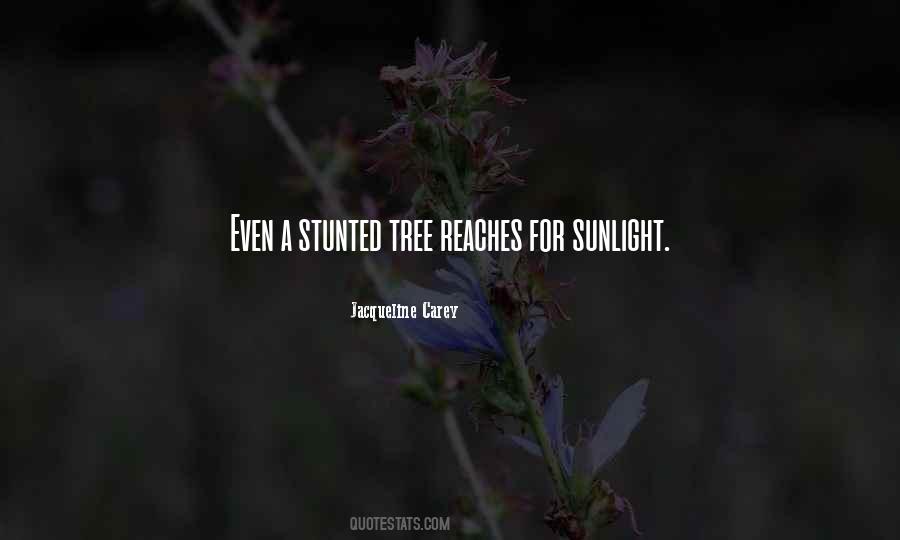 Subcultures And Countercultures Quotes #853471