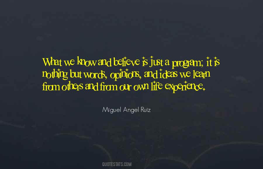 Ilicitos Formales Quotes #844315