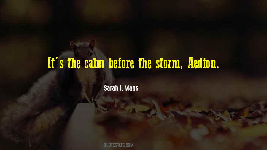The Calm Quotes #266967