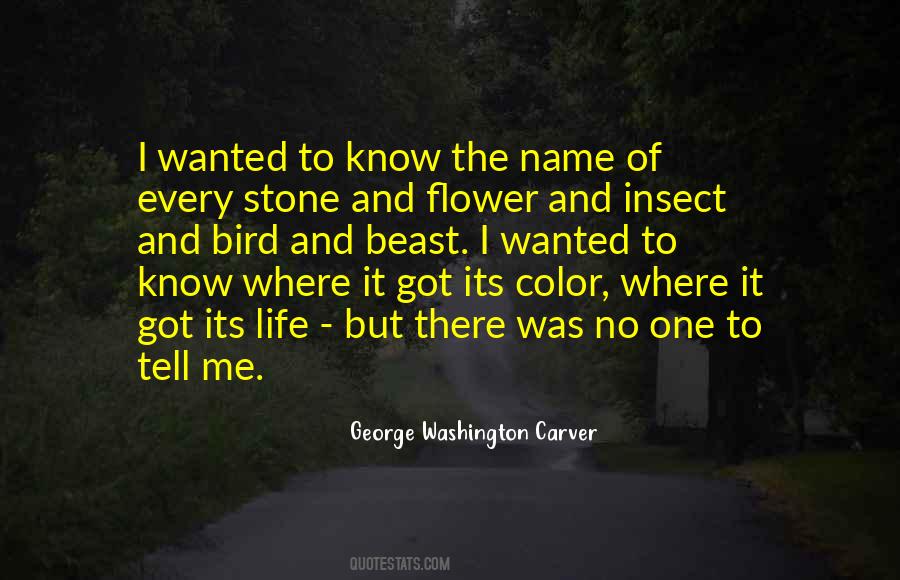 Quotes About Life From George Washington #1426387