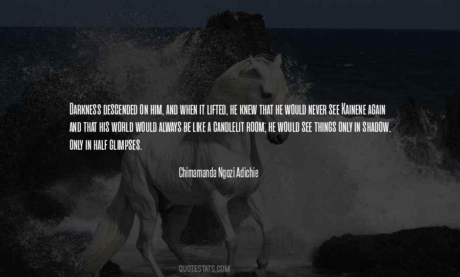 Chimamanda Adichie Love Quotes #1842386